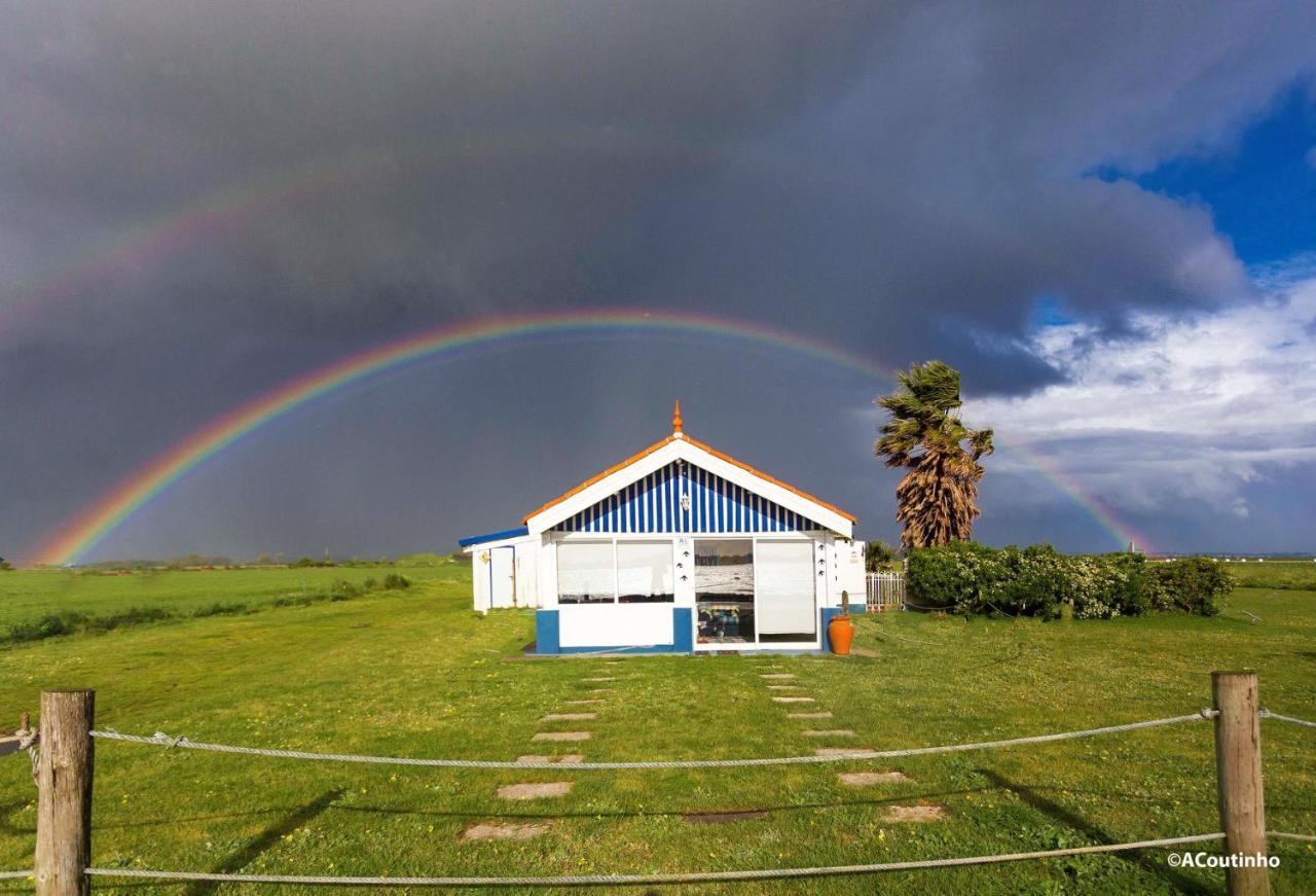 Casa Dos Flamingos Villa Murtosa Dış mekan fotoğraf