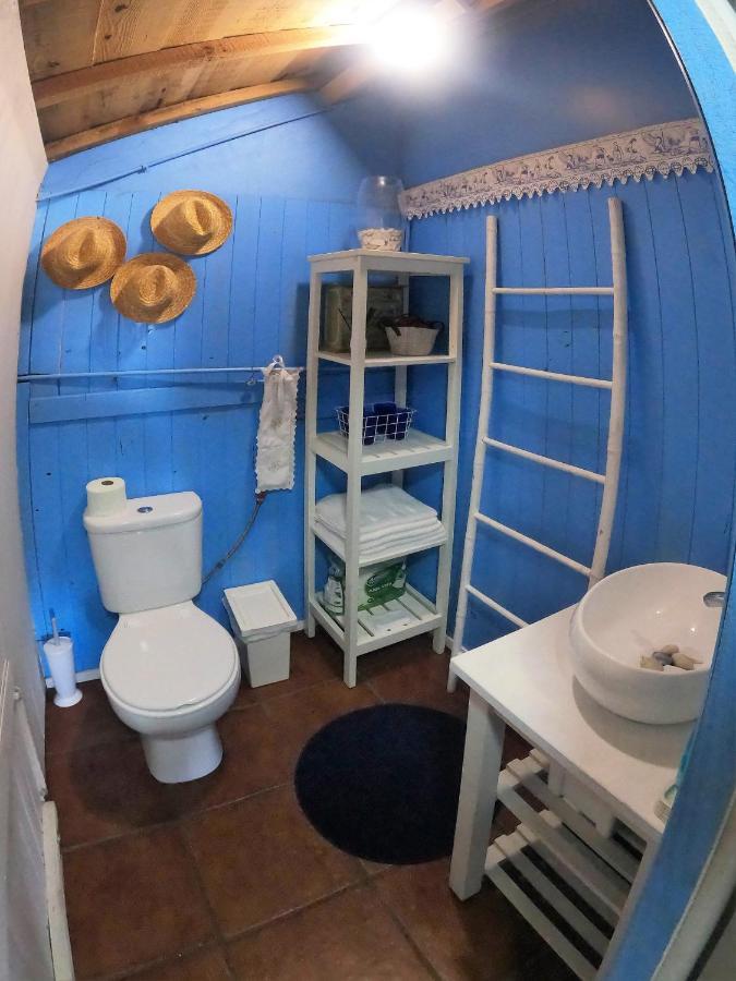 Casa Dos Flamingos Villa Murtosa Dış mekan fotoğraf